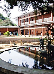 Art Institute Dhaka Art Institute Dhaka