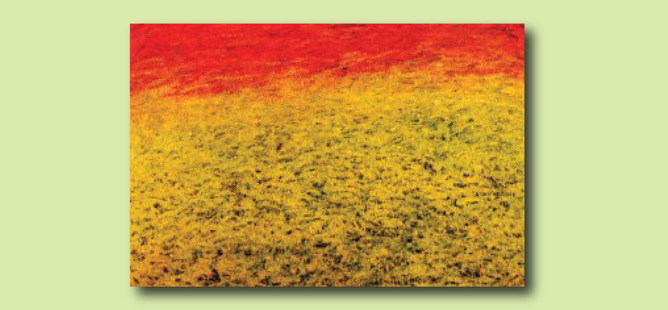 নীপার ছবি : বর্ণ-সুরে যাপন