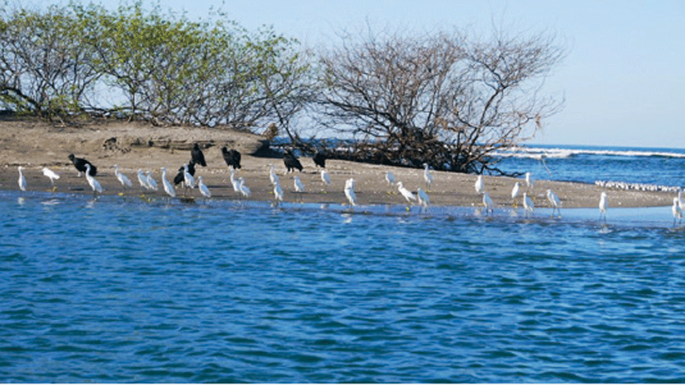 নির্জন দ্বীপের দিগন্তে আগুনপাহাড়