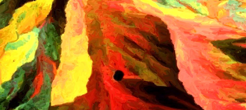 জলে ভেজা ডায়েরি