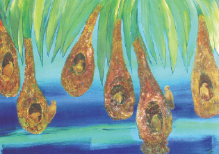 নদী কলস্বরা বাংলার রূপ