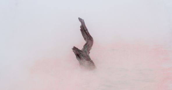 প্রাণের সন্ধানে 888sport apk