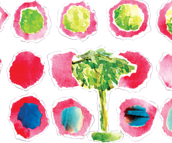 নোরার ক্যাসল অব ক্যাসাব্লাঙ্কা