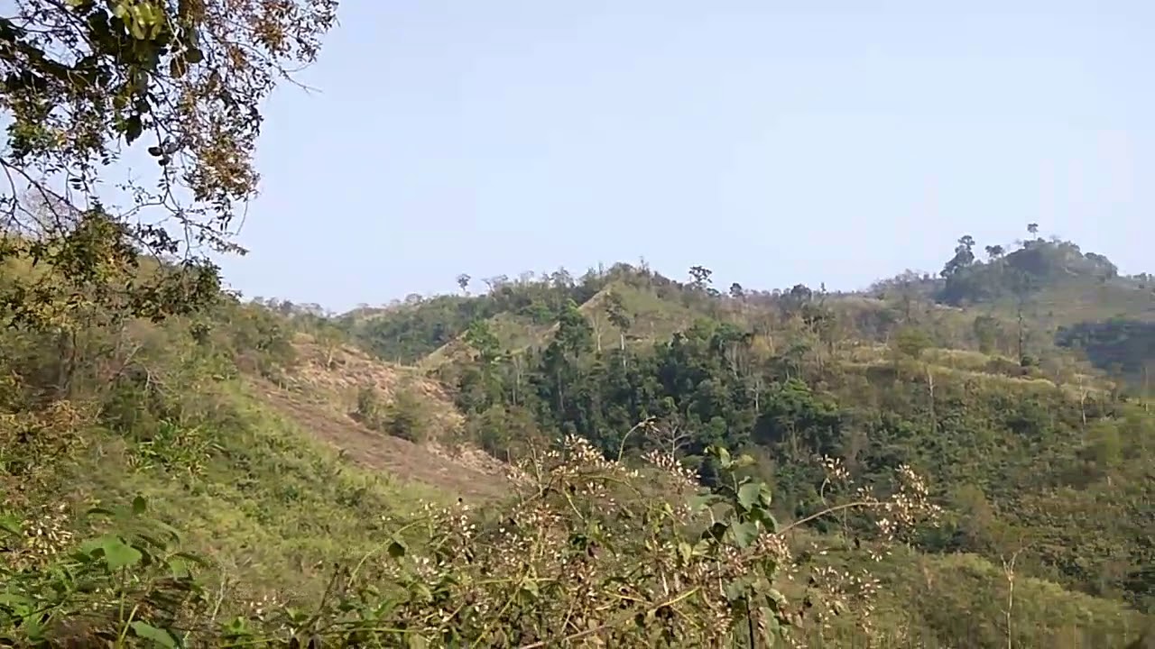 বিপ্রতীপ