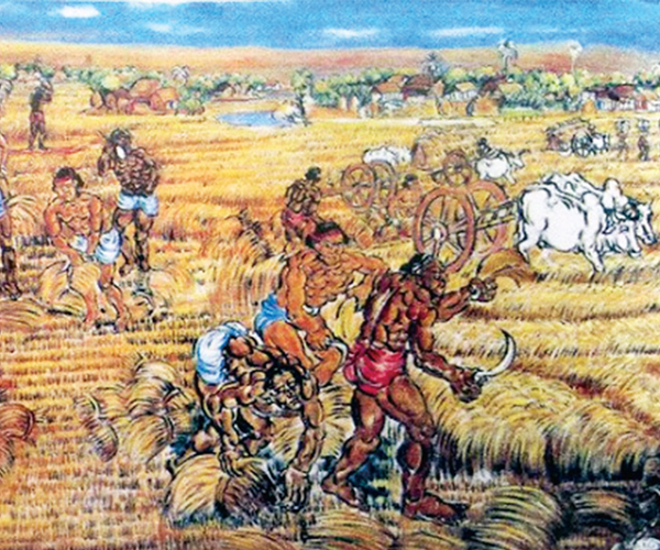 এসো অঘ্রান নবান্নর ঐতিহ্যধারায়