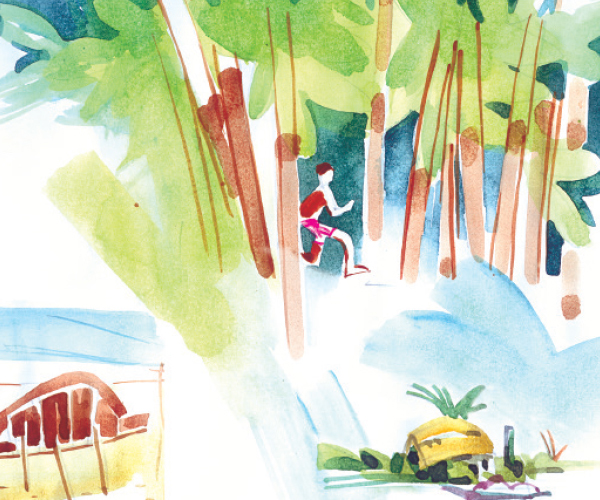 বনমানুষীর খোঁজে