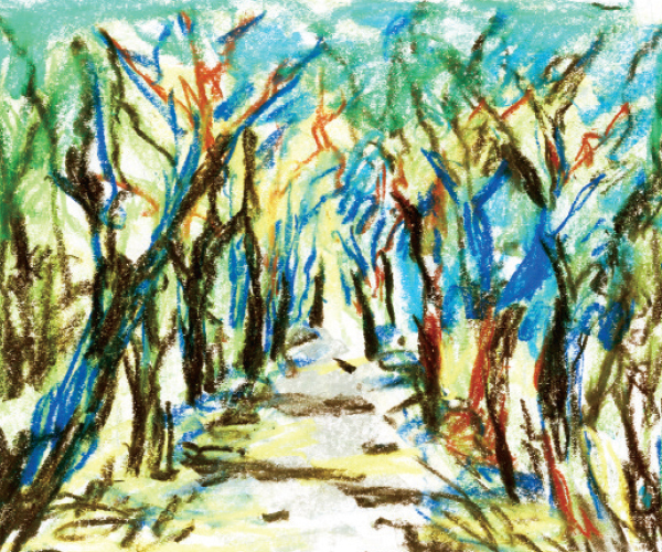 কাআ তরুবর