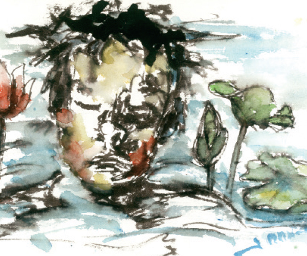 লাল শার্ট