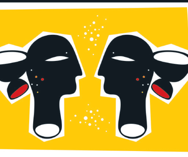 শান্তা, শাড়ি আর সালমার কথা …