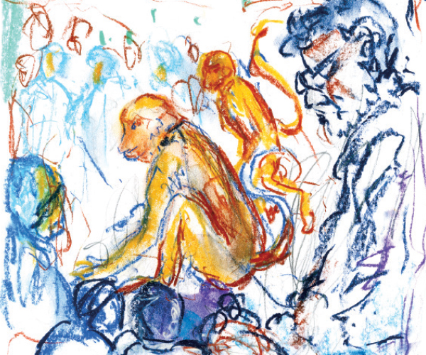 শৈশবের বানরেরা কোথায় হারাইয়া গেল