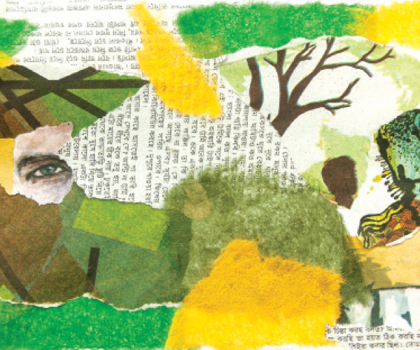 মাছের চোখ