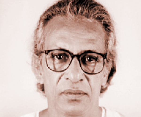 মাহমুদুল হকের অনুর পাঠশালা : কুয়াশাধূসর সকালের কাব্য