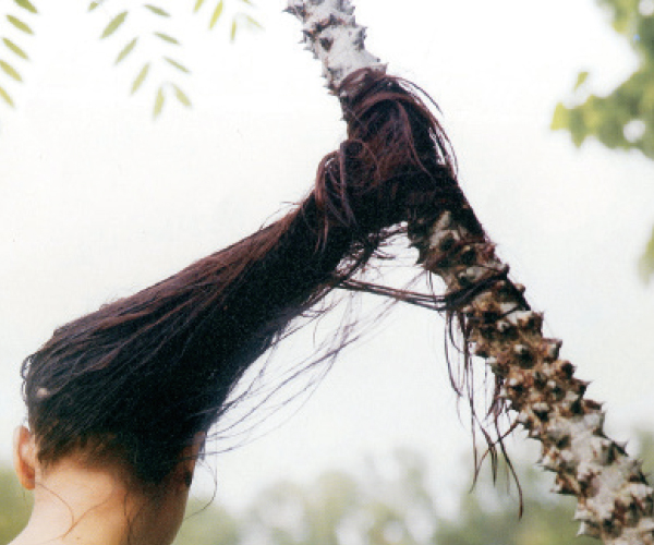 বেঙ্গল 888sport live chatালয়ে দলীয় প্রদর্শনী সমকালীন আধুনিক উত্তাপ