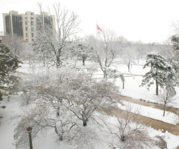 আমেরিকার জীবন – স্বপ্ন, দুঃস্বপ্ন