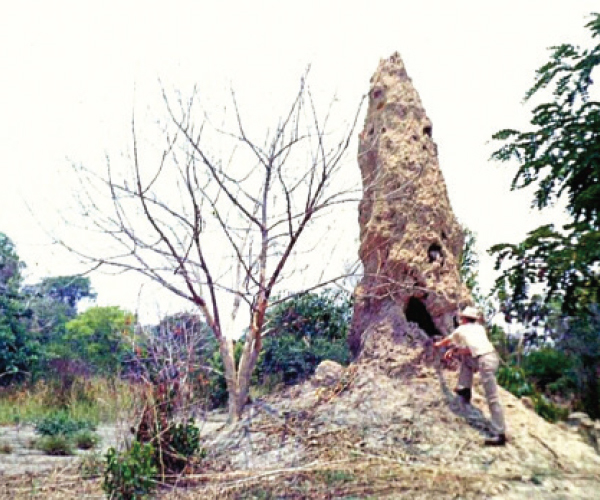 ঘানার কেইপ কোস্ট ক্যাসল