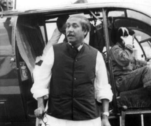 হলুদ পাখি, আমগাছ ও মুরগি