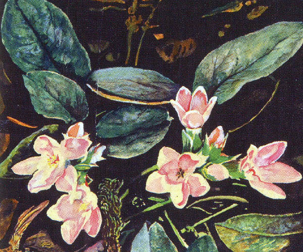 দুই প্রজন্মের পরম্পরা