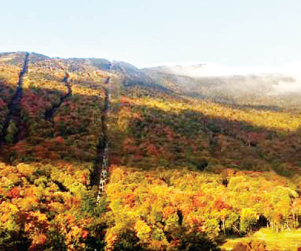 রঙের খোঁজে বনের পথে