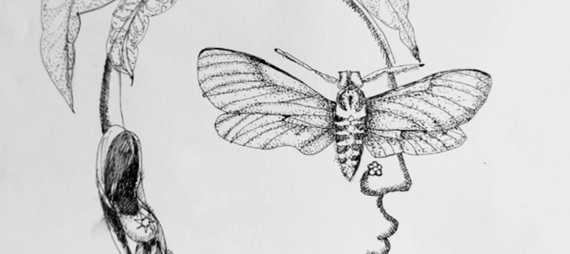 প্রকৃতির রংছবি