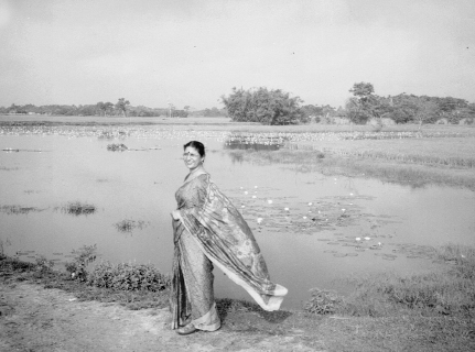 রায়পুরা থেকে ময়মনসিংহ