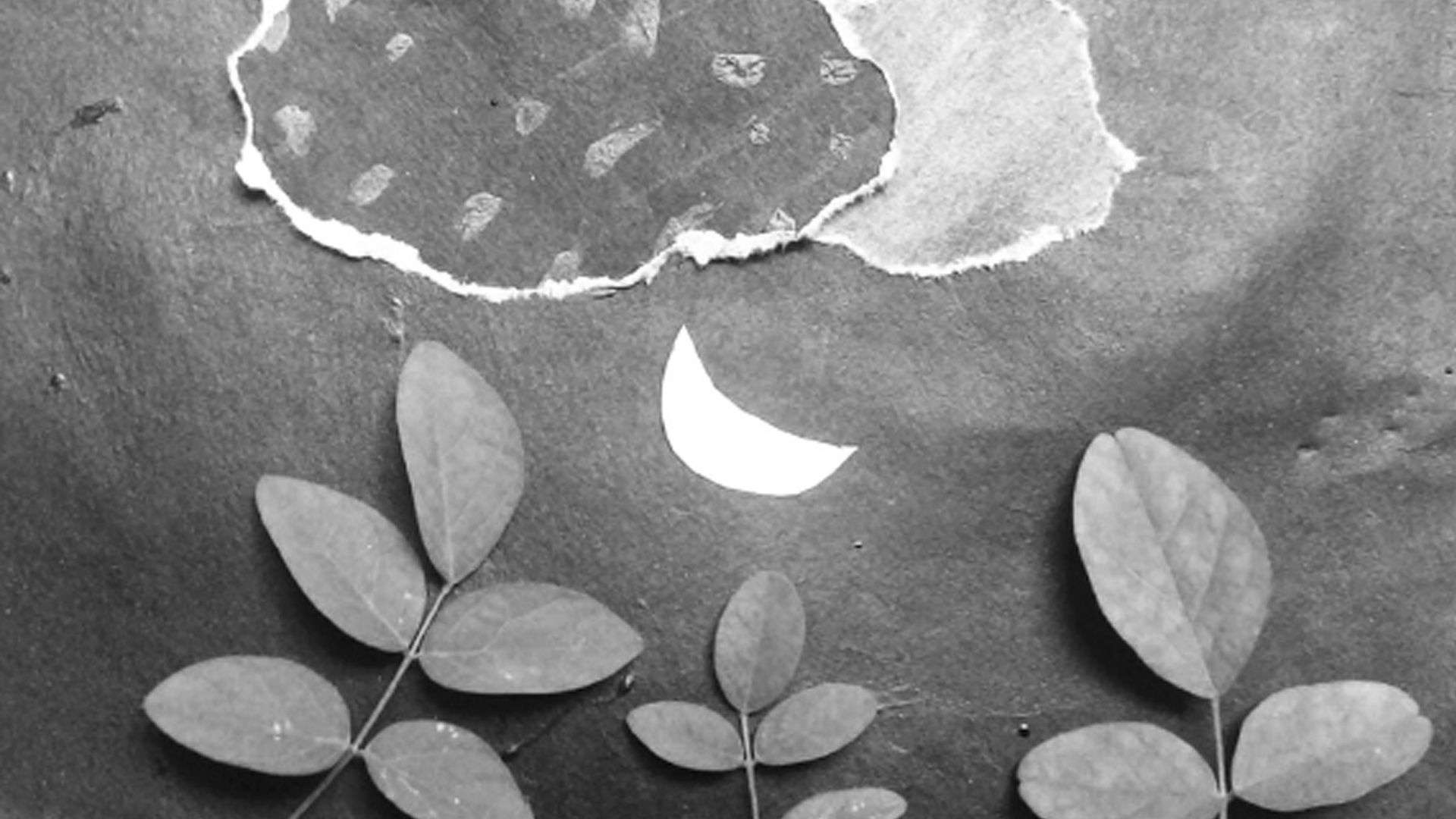 ফিকে জোছনা কিংবা রংজ্বলা চাঁদ