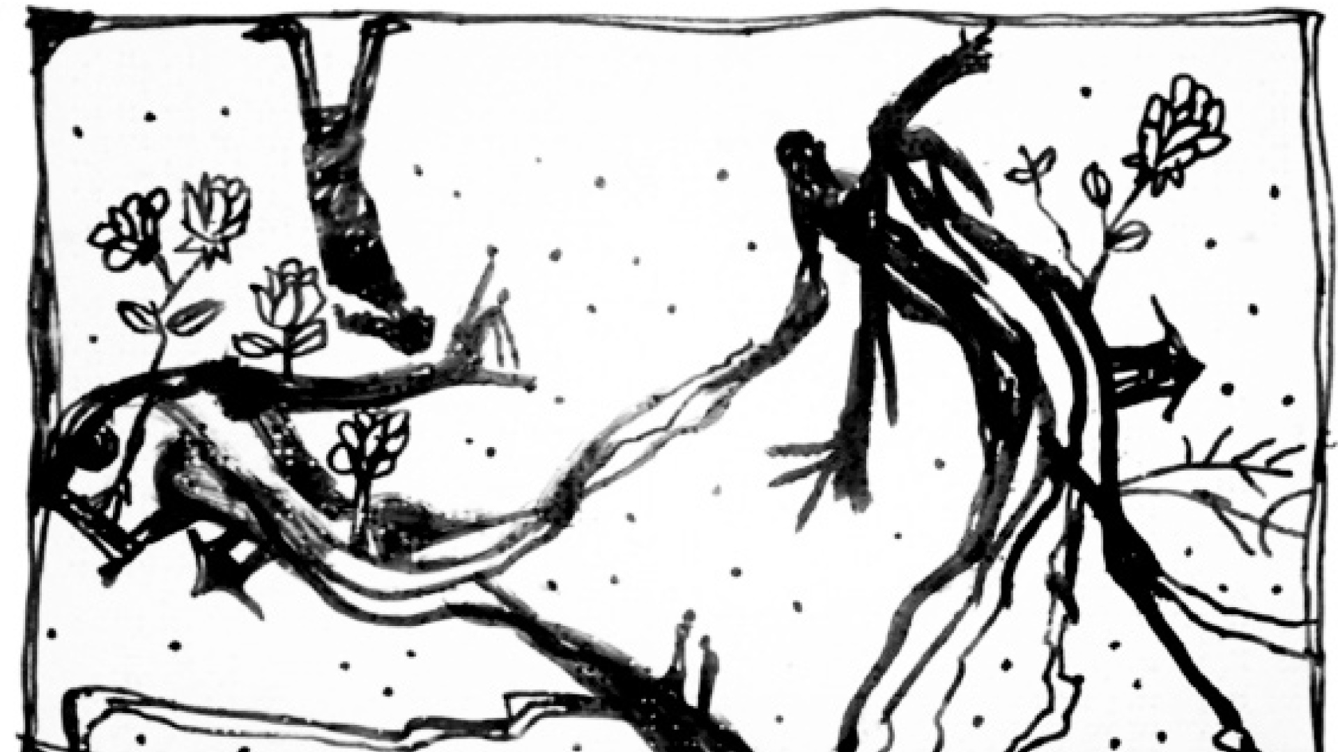 অলীক গোলাপ