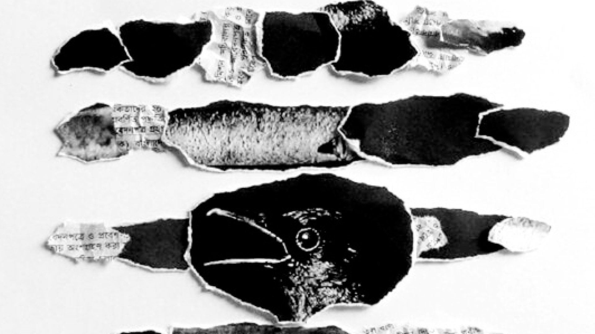 উত্তাপহীন নীল ছায়া