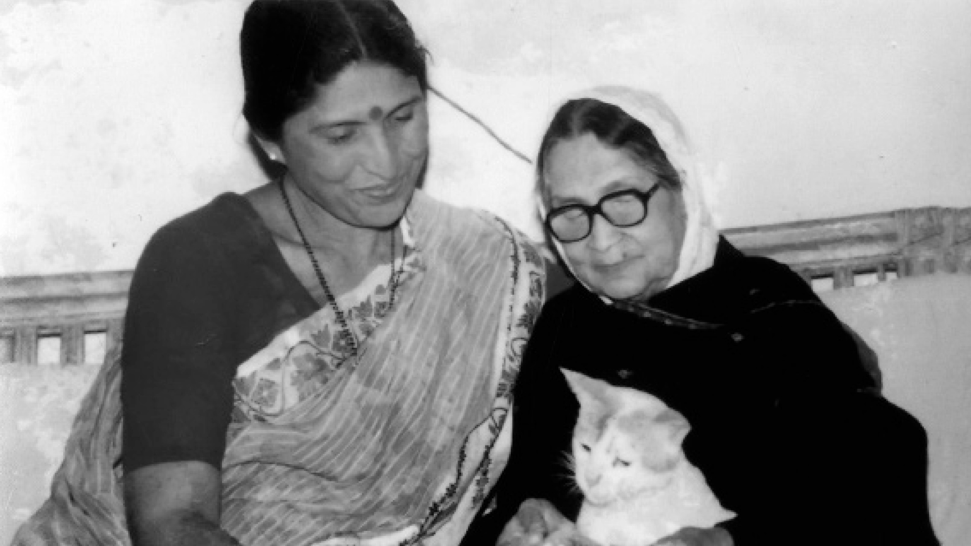 রায়পুরা থেকে ময়মনসিংহ