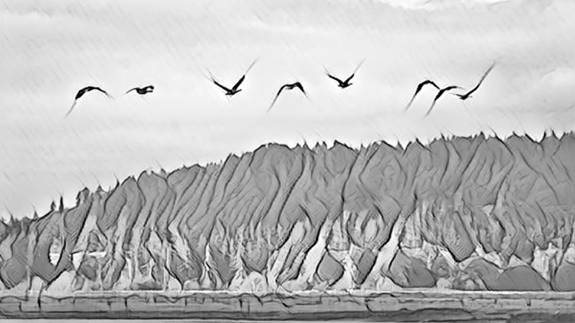 অনাবাসী 888sport live football : বাসায় ফেরা ডানার শব্দ