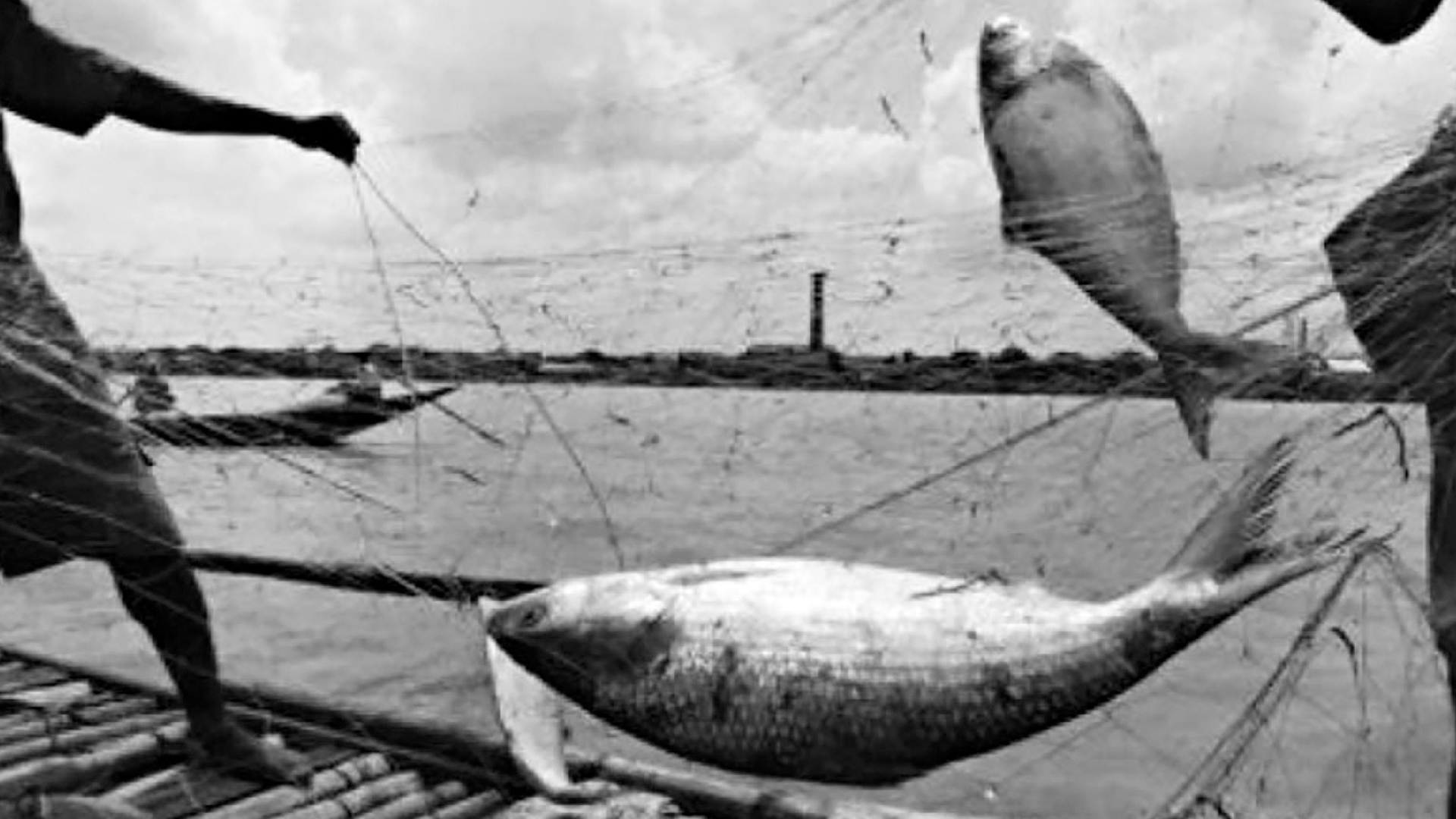 ইলিশ-বন্দনা