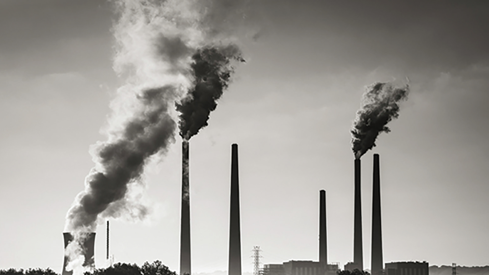 বৈশ্বিক উষ্ণতা ও জলবায়ুর পরিবর্তন