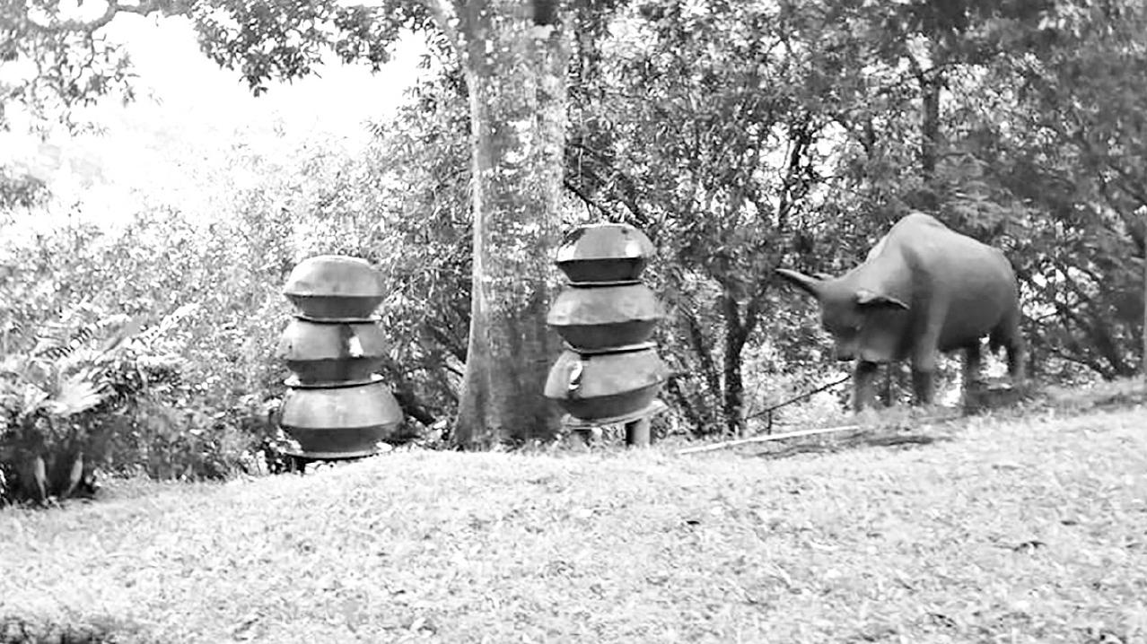 বিজনের নির্জনে