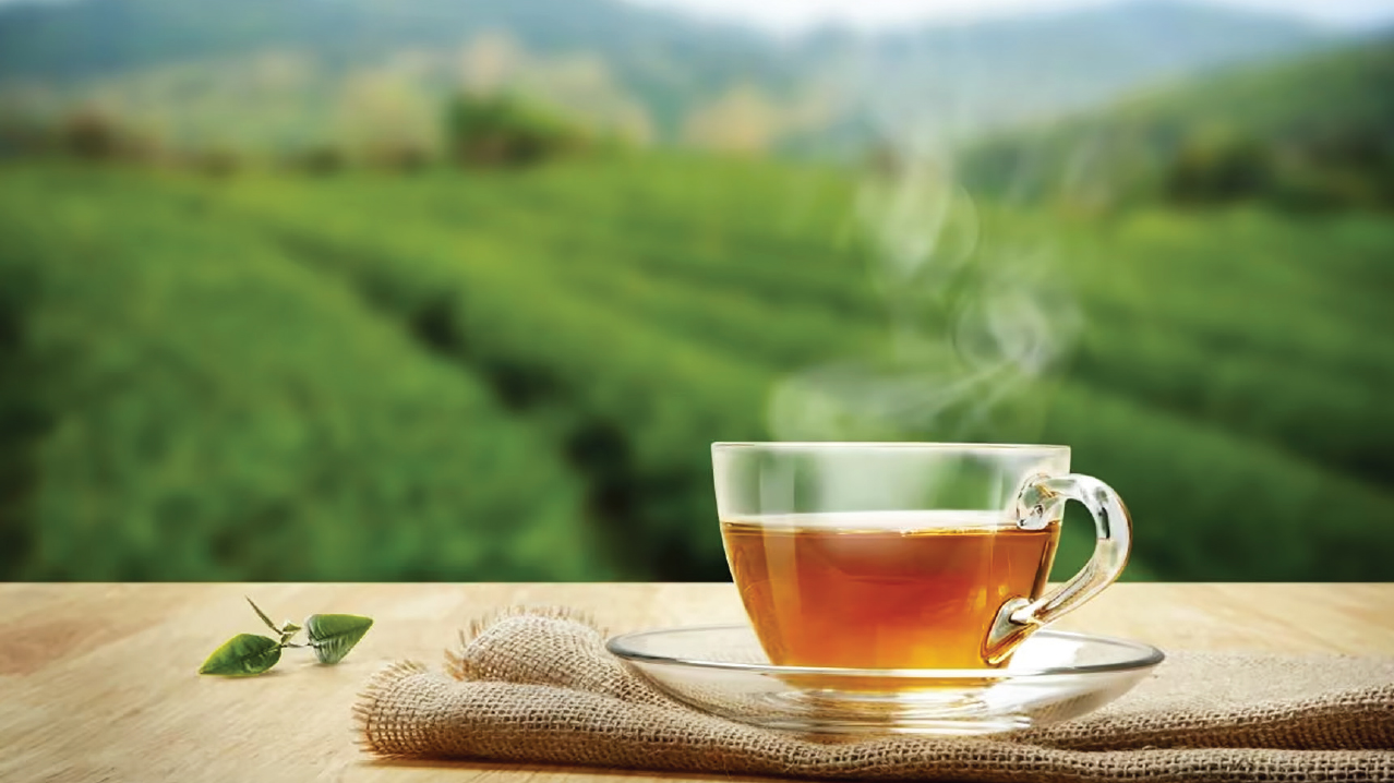 চা-বন্দনা