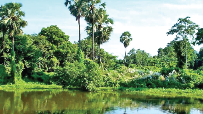 আমার গ্রাম সবলসিংহপুর