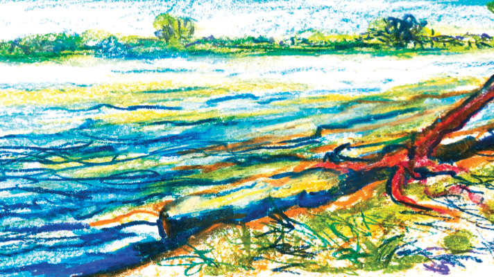 শেল্টার