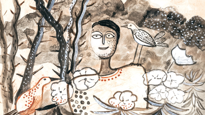 অমরজাতি