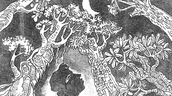 আলোকিত অন্ধকার