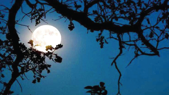 চন্দ্র-বন্দনা