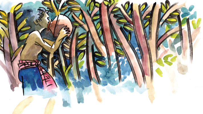 জাহালম গাছির গন্তব্য