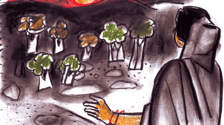 জলে ভাসা নীলডুমুরের ফুল