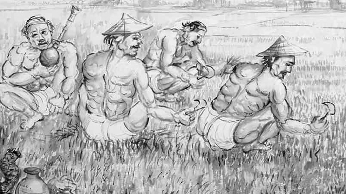 এস এম সুলতান স্বাস্থ্যবান কৃষকের সন্ধানে