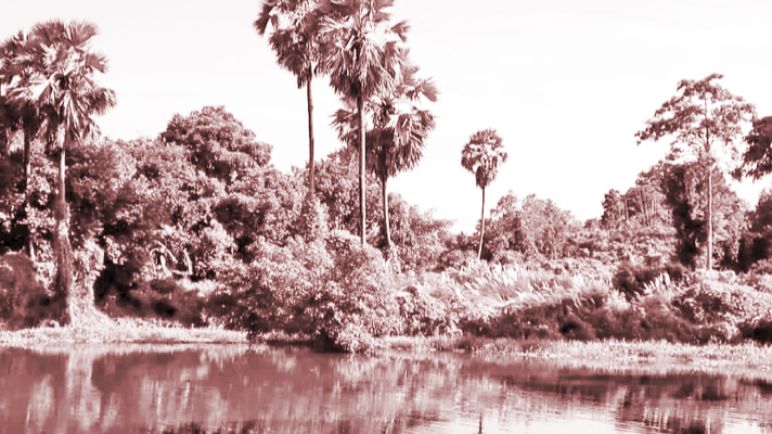 সবলসিংহপুর : খণ্ডচিত্র