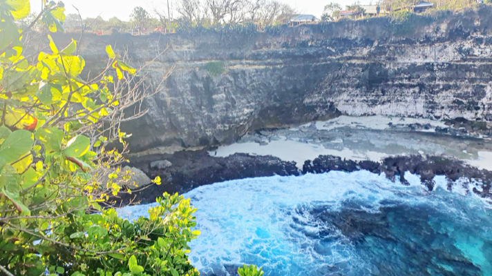 প্রকৃতির স্বর্ণরেণুর খোঁজে বালিদ্বীপে