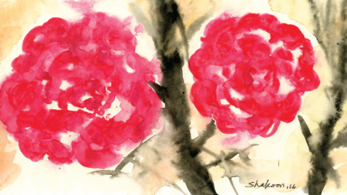 গোলাপ তুমি সুন্দর হয়ে উঠলে… 