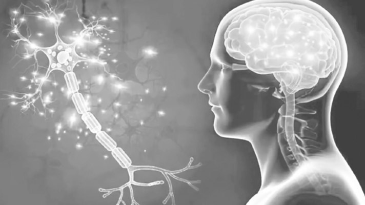 আমাদের সর্বজয়ী মস্তিষ্ক ও চেতনার স্বরূপ