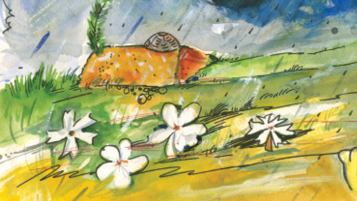 পাতার আওয়াজ এক জীবনধ্বনি